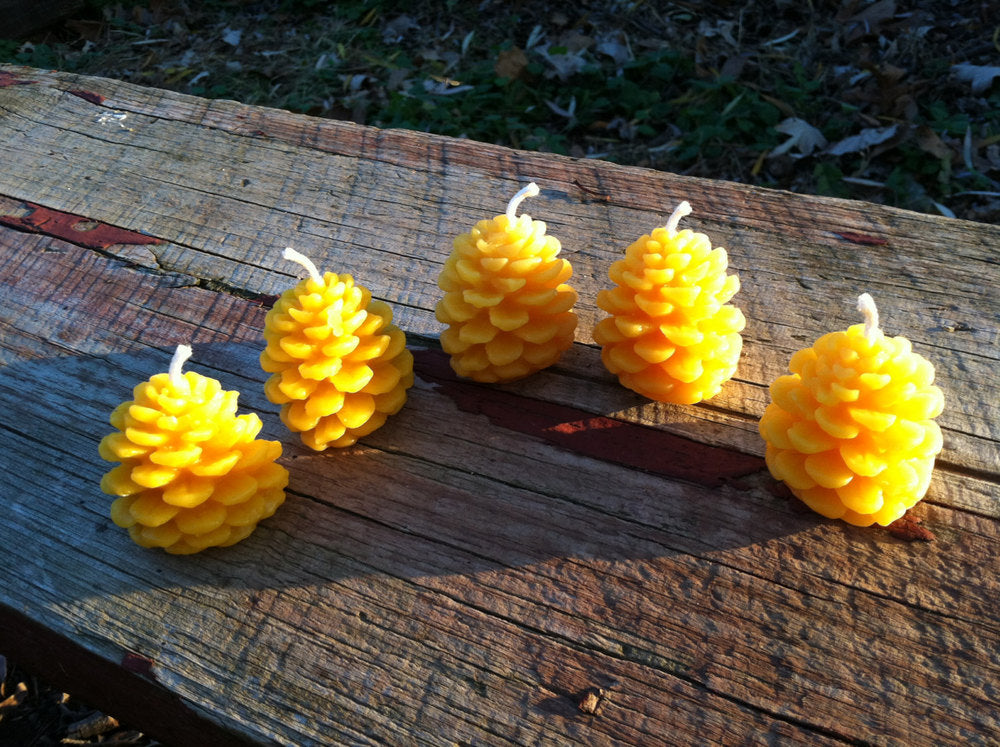 Pinecone Beeswax Candle